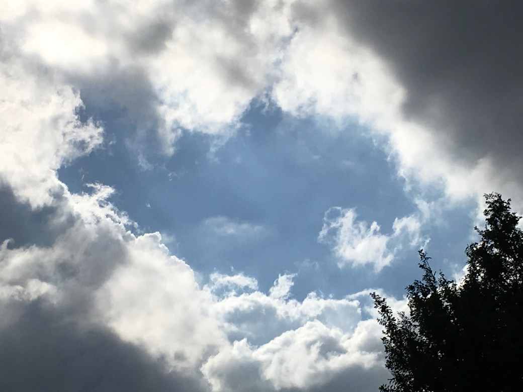 BAC4A469-8B6E-46EF-A729-941391170366